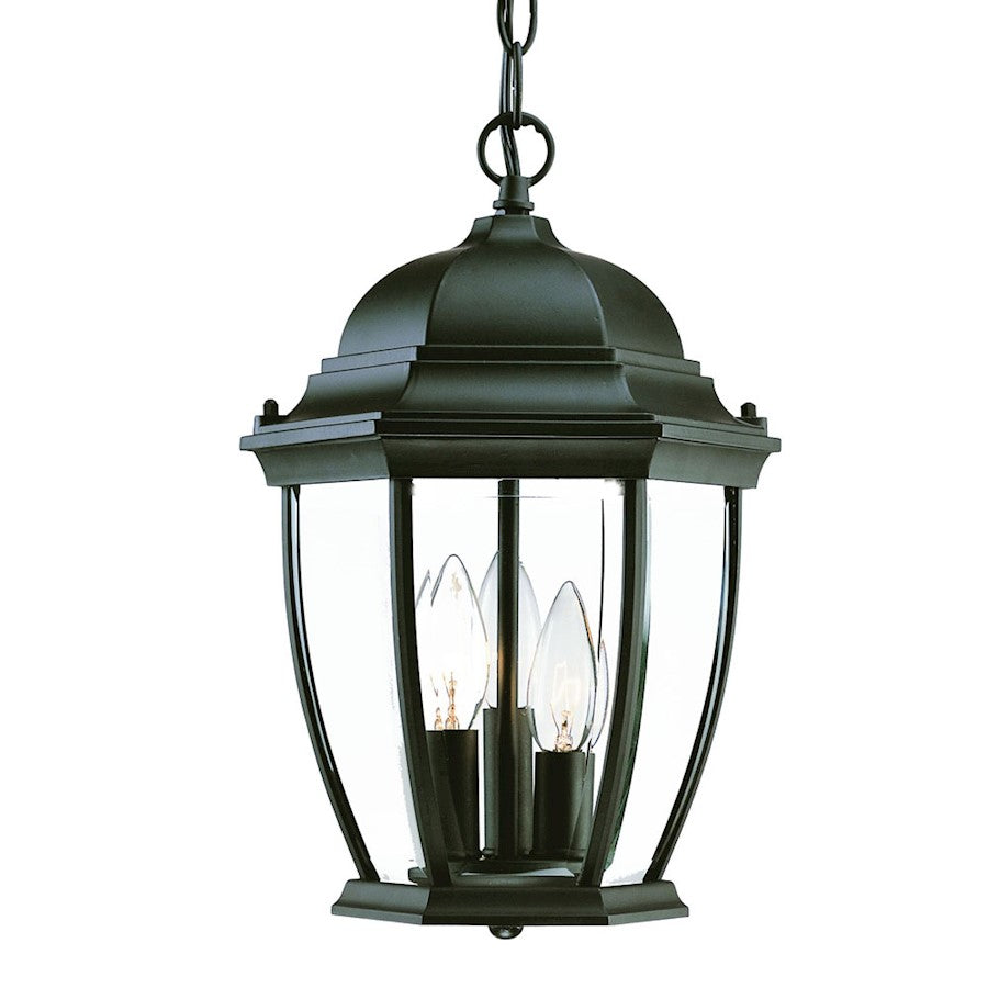 Acclaim Lighting Wexford 3 Light Hanging Light
