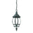 Acclaim Lighting Chateau 1 Light Hanging Light