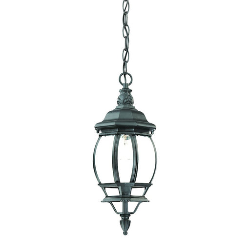 Acclaim Lighting Chateau 1 Light Hanging Light