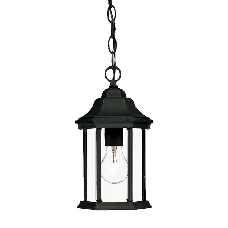 Acclaim Lighting Madison 1 Light Hanging Light, Black