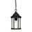 Acclaim Lighting Madison 1 Light Hanging Light, Black