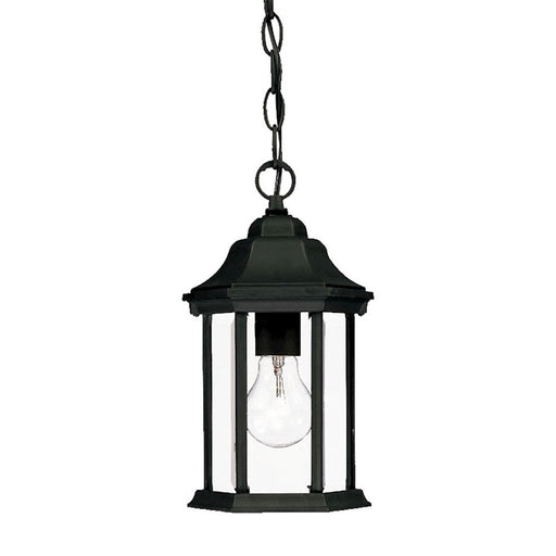 Acclaim Lighting Madison 1 Light Hanging Light, Black