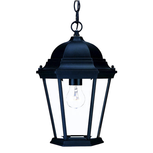 Acclaim Lighting Richmond 1 Light Hanging Light