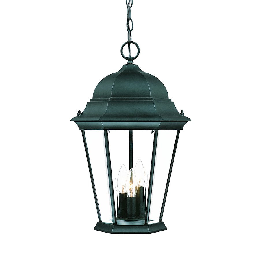 Acclaim Lighting Richmond 3 Light Hanging Light, Matte Black