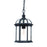 Acclaim Lighting Dover 1 Light Hanging Light