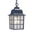 Acclaim Lighting Nautica 1 Light Hanging Light, Matte Black