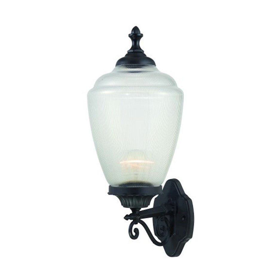 Acclaim Lighting Acorn 1 Light Wall Sconce, Matte Black