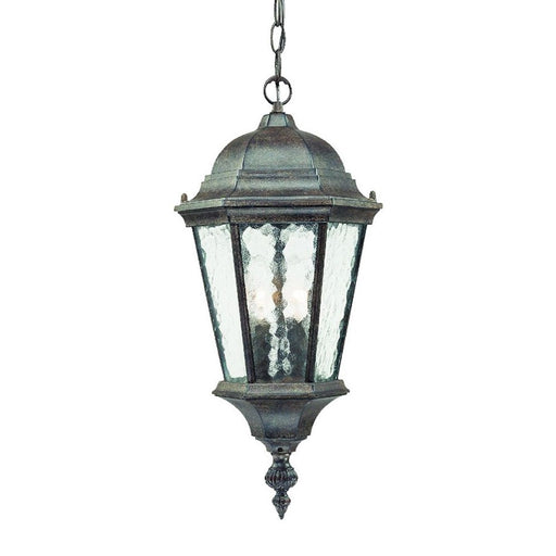 Acclaim Lighting Telfair 2 Light Hanging Light