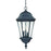 Acclaim Lighting Telfair 3 Light Hanging Light, Matte Black