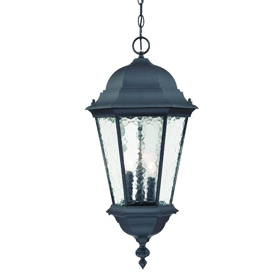 Acclaim Lighting Telfair 3 Light Hanging Light, Matte Black