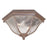 Acclaim Lighting 2 Light Flush Mount