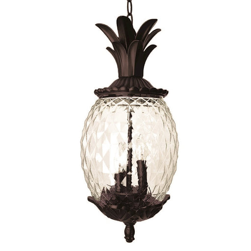Acclaim Lighting Lanai 3 Light Hanging Light