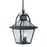 Acclaim Lighting Bay Street 3 Light 16" Hanging Light, Bronze