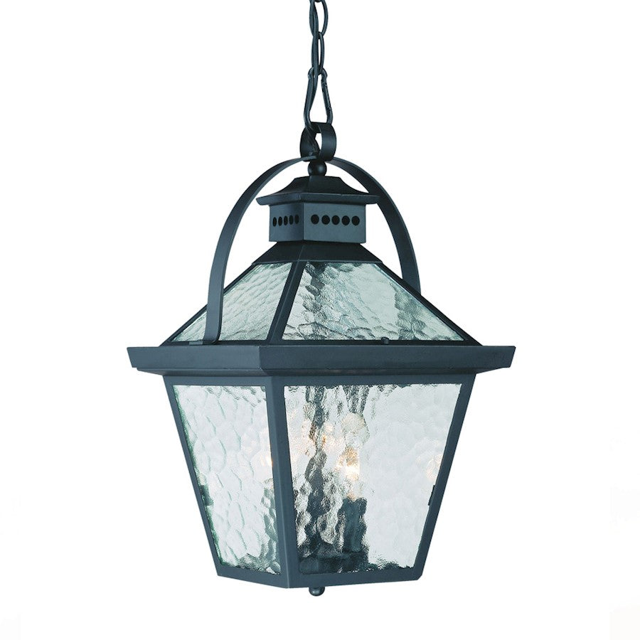Acclaim Lighting Bay Street 3 Light Hanging Light, Matte Black