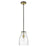 Acclaim Lighting Shelby 1 Light Pendant, Bronze/Brass/Clear Seedy