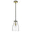 Acclaim Lighting Shelby 1 Light Pendant, Bronze/Brass/Clear Seedy