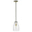 Acclaim Lighting Shelby 1 Light Pendant, Bronze/Brass/Clear Seedy