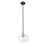 Acclaim Lighting 1 Light 10" Pendant, Matte Black and Brass/Clear