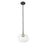 Acclaim Lighting 1 Light 10" Pendant, Matte Black and Brass/Clear