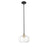 Acclaim Lighting 1 Light 10" Pendant, Matte Black and Brass/Clear