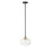 Acclaim Lighting 1 Light 10" Pendant, Matte Black and Brass/Clear