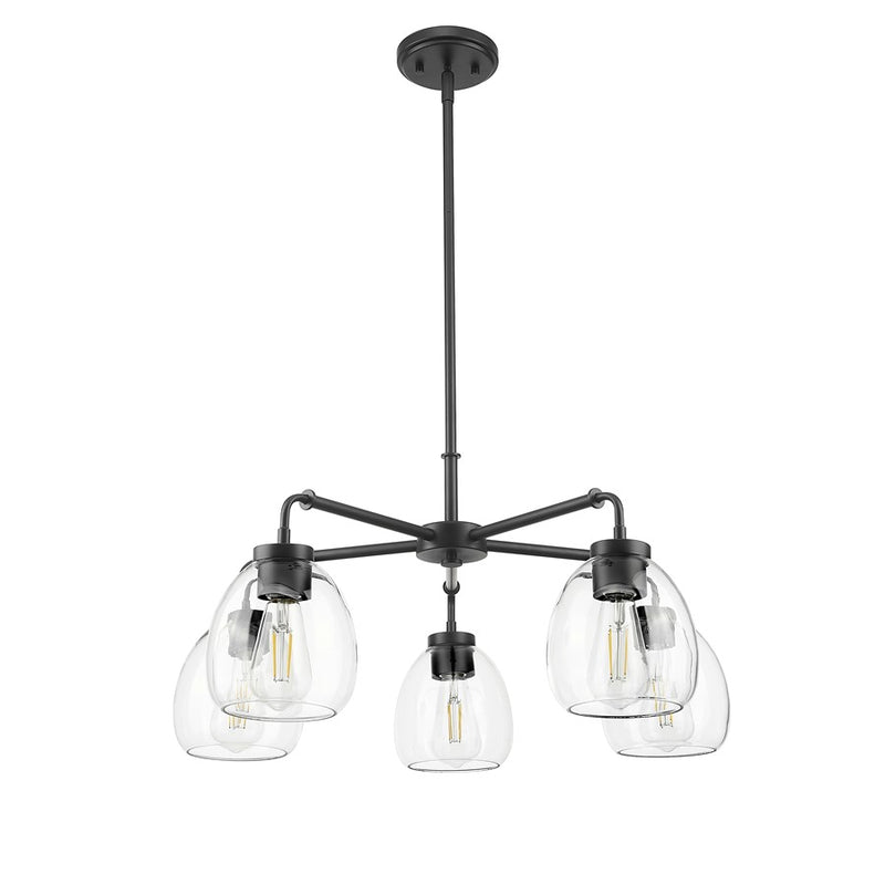 Acclaim Lighting 5 Light 27" Chandelier, Matte Black/Clear