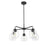 Acclaim Lighting 5 Light 27" Chandelier, Matte Black/Clear