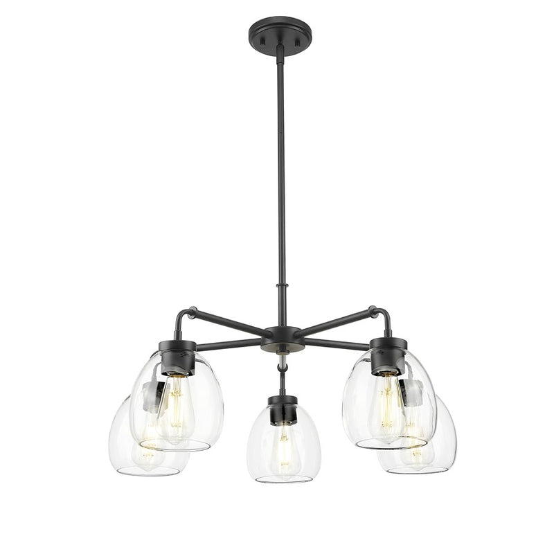 Acclaim Lighting 5 Light 27" Chandelier, Matte Black/Clear