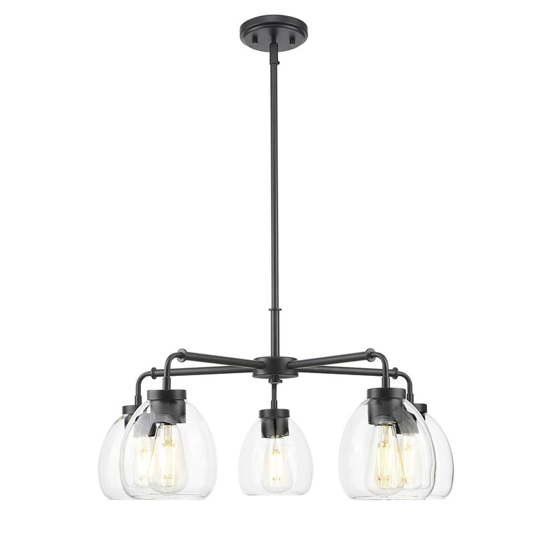 Acclaim Lighting 5 Light 27" Chandelier, Matte Black/Clear