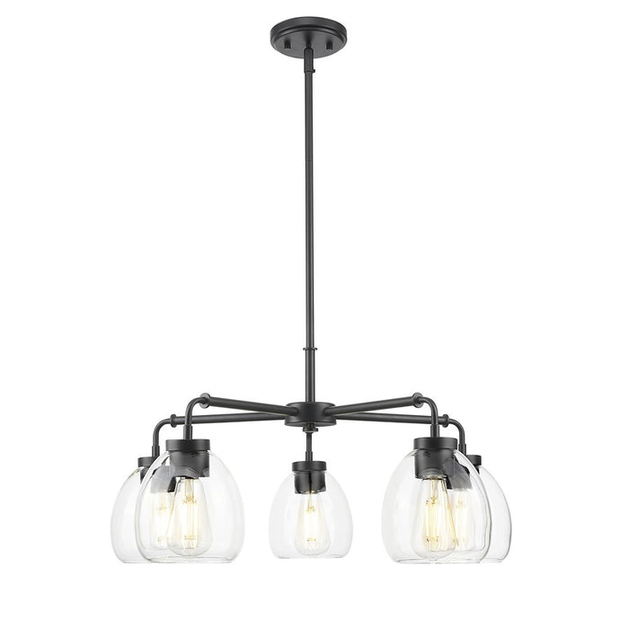 Acclaim Lighting 5 Light 27" Chandelier, Matte Black/Clear