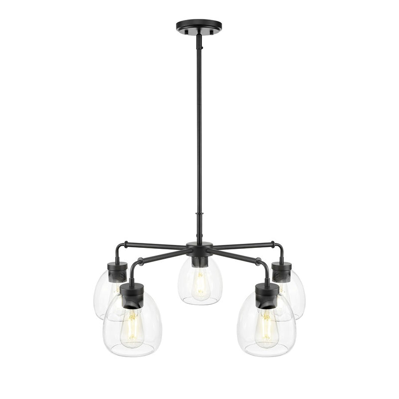 Acclaim Lighting 5 Light 27" Chandelier, Matte Black/Clear