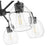 Acclaim Lighting 5 Light 27" Chandelier, Matte Black/Clear