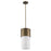 Acclaim Lighting Midtown 1 Light Pendant