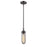 Acclaim Lighting Garret 1 Light Mini Pendant, Oil Rubbed Bronze