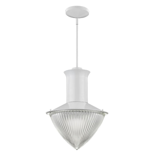 Acclaim Lighting Skylar 1 Light Pendant