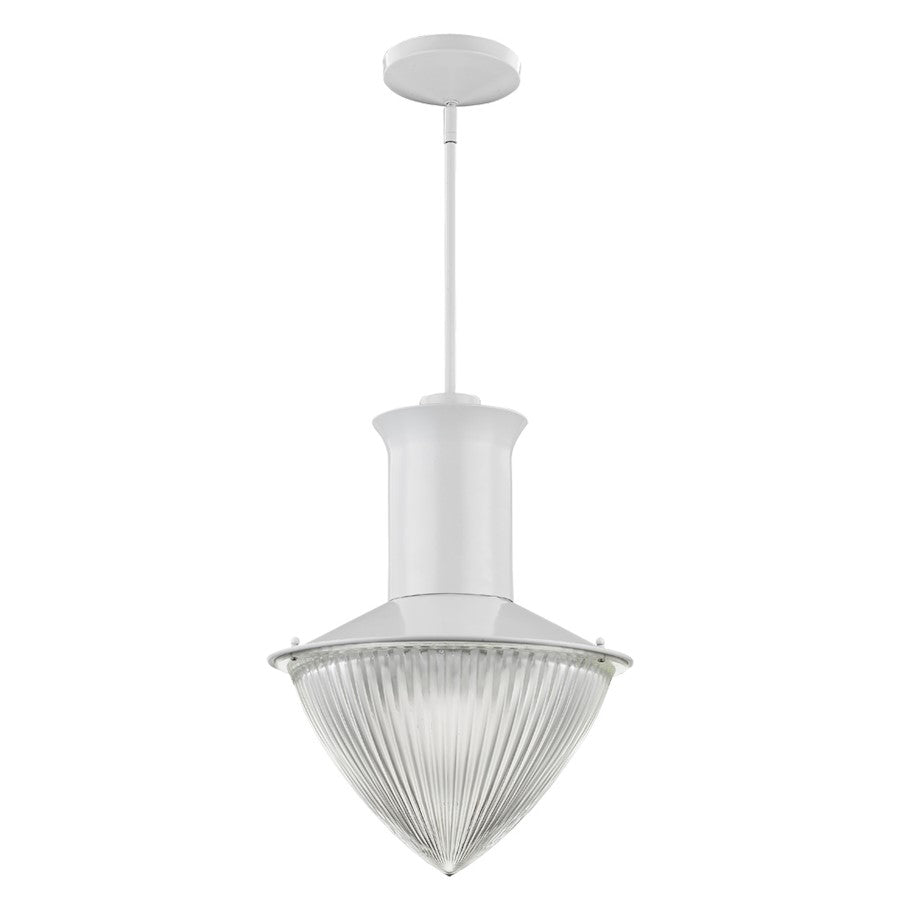Acclaim Lighting Skylar 1 Light Pendant