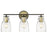 Acclaim Lighting Shelby 3 Light Vanity, Bronze/Brass/Clear Seedy