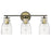 Acclaim Lighting Shelby 3 Light Vanity, Bronze/Brass/Clear Seedy