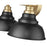Acclaim Lighting 2Lt 18" Vanity, Matte Black and Brass/Matte Black