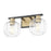 Acclaim Lighting 2 Light 18" Vanity, Matte Black and Brass/Clear