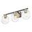 Acclaim Lighting 3 Light 25" Vanity, Matte Black and Brass/Clear