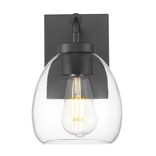Acclaim Lighting 1 Light 6" Sconce, Matte Black/Clear