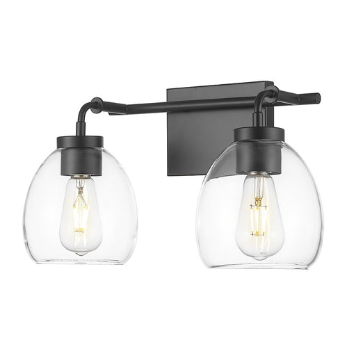 Acclaim Lighting 2 Light 16" Vanity, Matte Black/Clear