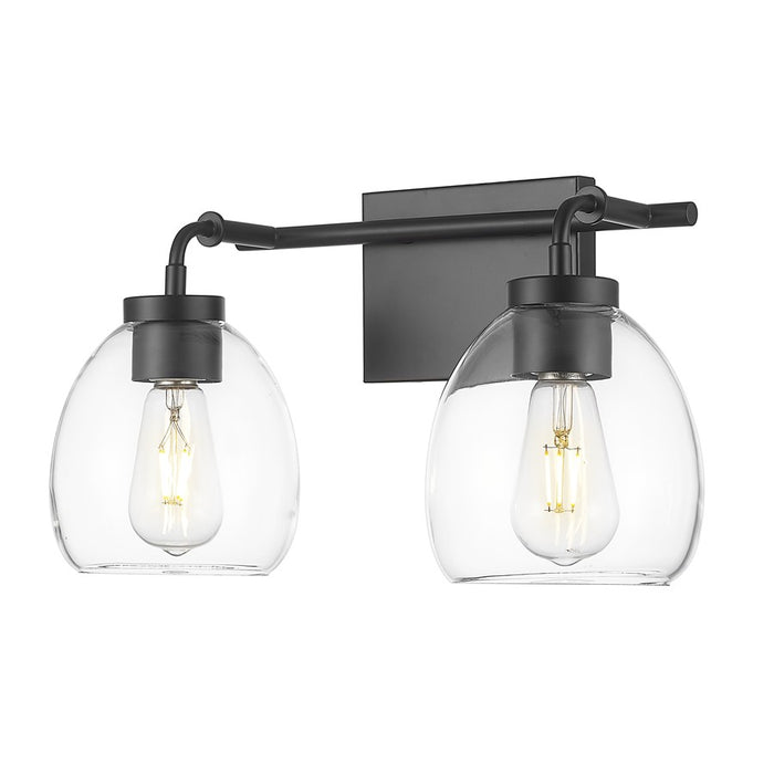 Acclaim Lighting 2 Light 16" Vanity, Matte Black/Clear