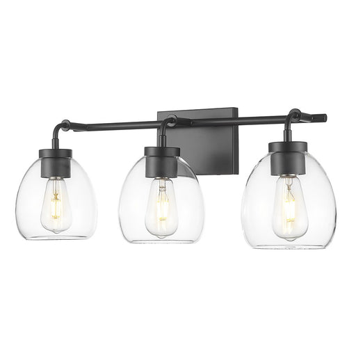 Acclaim Lighting 3 Light 24" Vanity, Matte Black/Clear