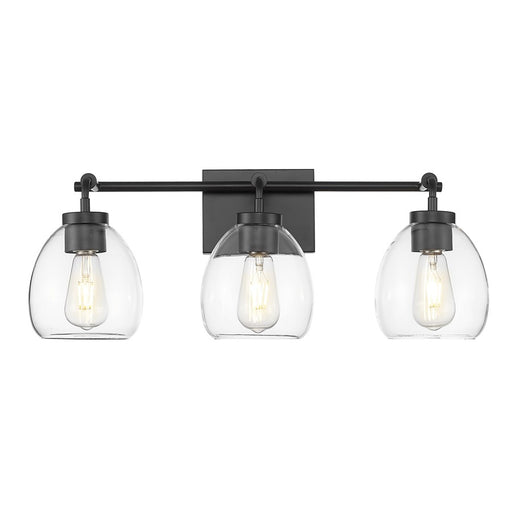 Acclaim Lighting 3 Light 24" Vanity, Matte Black/Clear