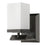 Acclaim Lighting Burgundy 1 Light Sconce