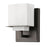 Acclaim Lighting Rampart 1 Light Sconce