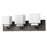 Acclaim Lighting Rampart 3 Light Vanity Light