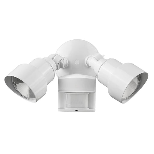 Acclaim Lighting 2-Light 6" LED Flood Light